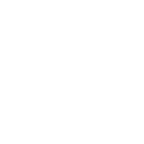 tagliando-ford-authos-icona-circolazione
