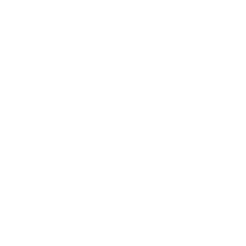 tagliando-ford-authos-icona-consegna